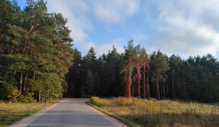 Działka budowlana Żabokliki-Kolonia, ul. Stocka