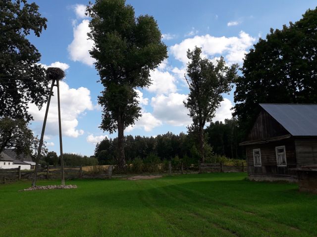 Działka siedliskowa Studzieńczyna, 18. Zdjęcie 1