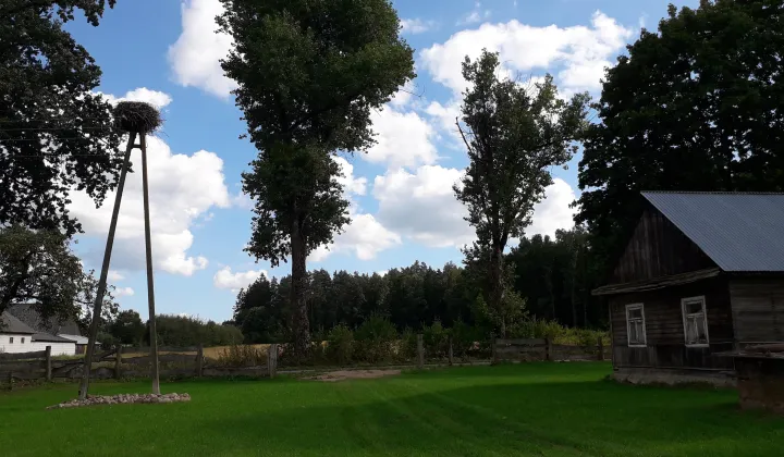 Działka siedliskowa Studzieńczyna, 18