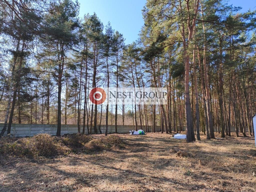 Działka budowlana Nowy Janków, ul. Wołomińska. Zdjęcie 7