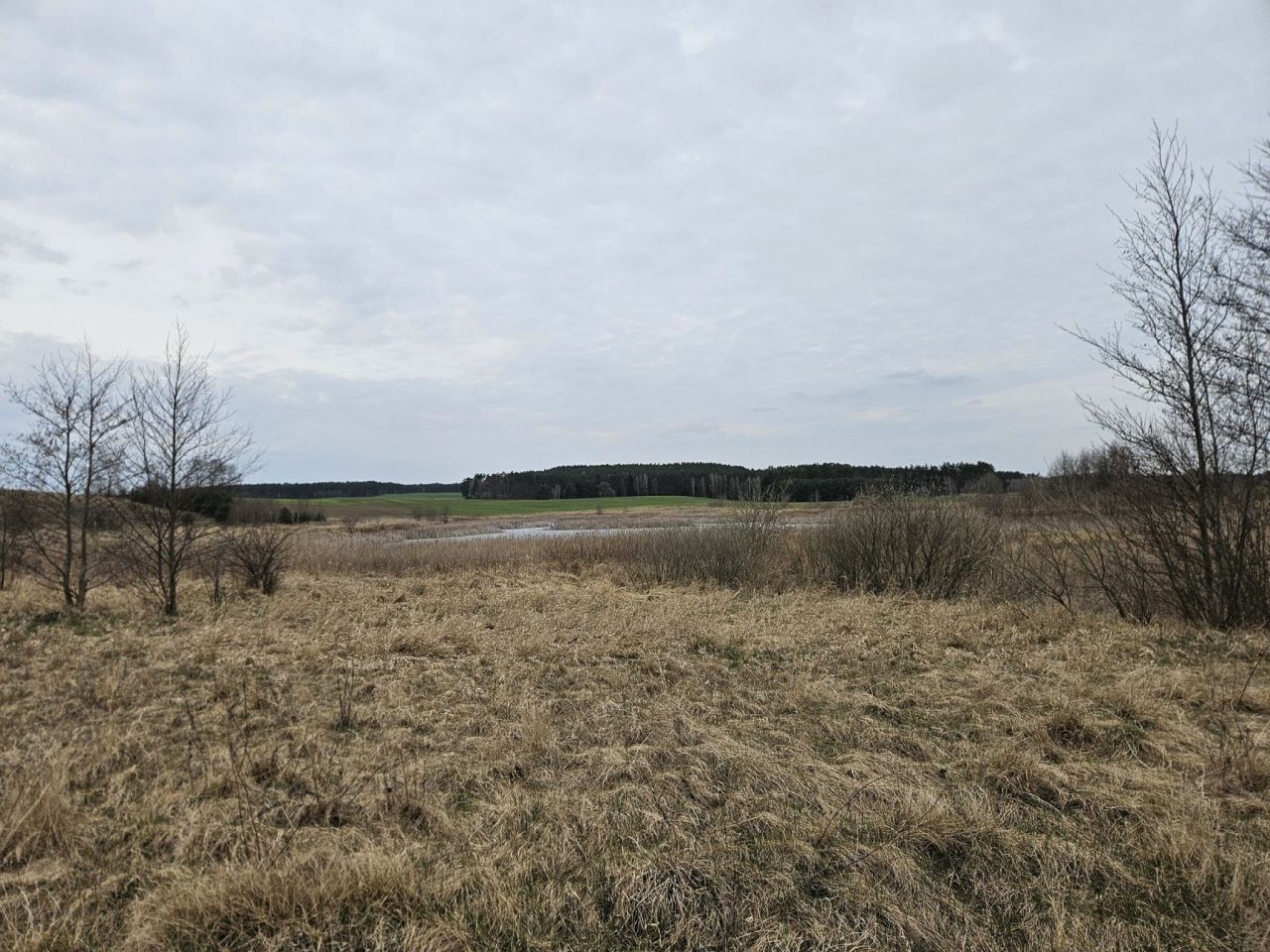Działka rolna Nowy Dwór. Zdjęcie 4