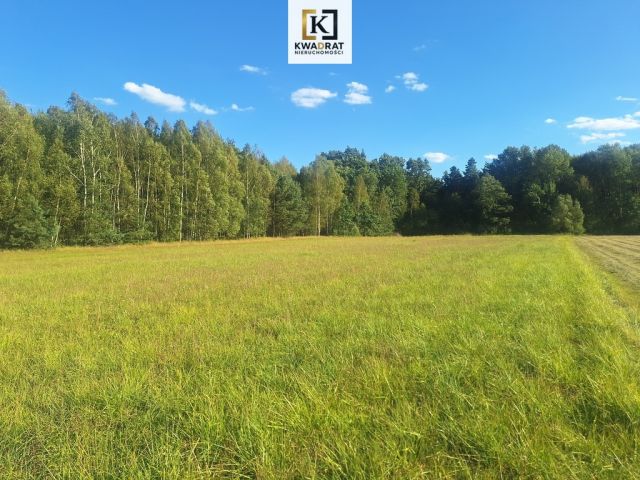 Działka budowlana Chmielew. Zdjęcie 1