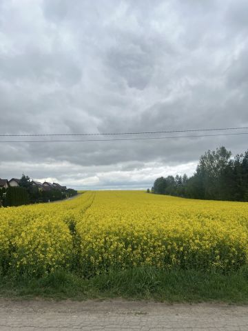 Działka budowlana Tomaszówka. Zdjęcie 1