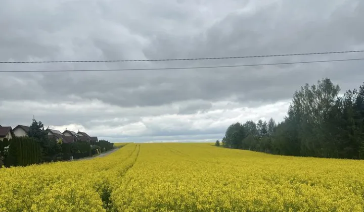 Działka budowlana Tomaszówka