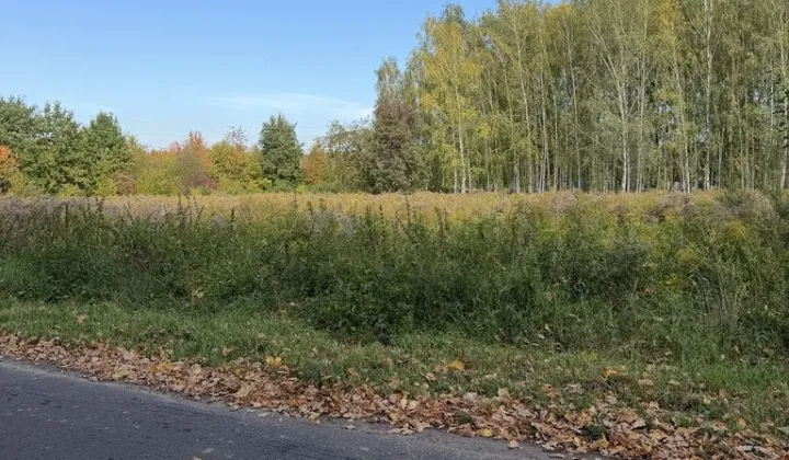 Działka budowlana Nadarzyn, ul. Starowiejska