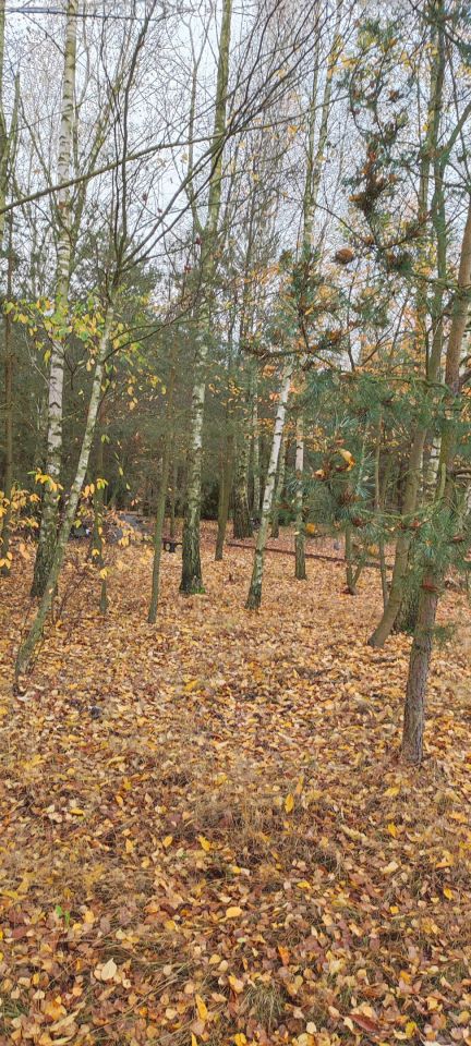 Działka rolna Osada-Wola. Zdjęcie 7