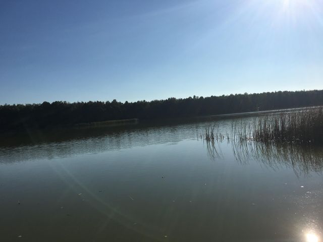 Działka budowlana Annowo. Zdjęcie 2
