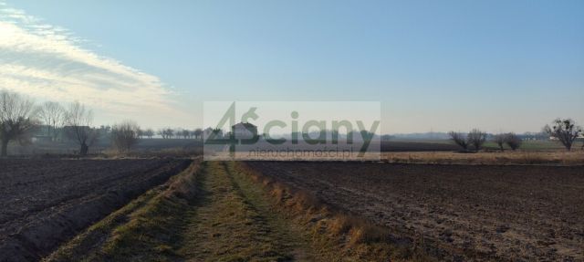 Działka rolno-budowlana Cholewy. Zdjęcie 5