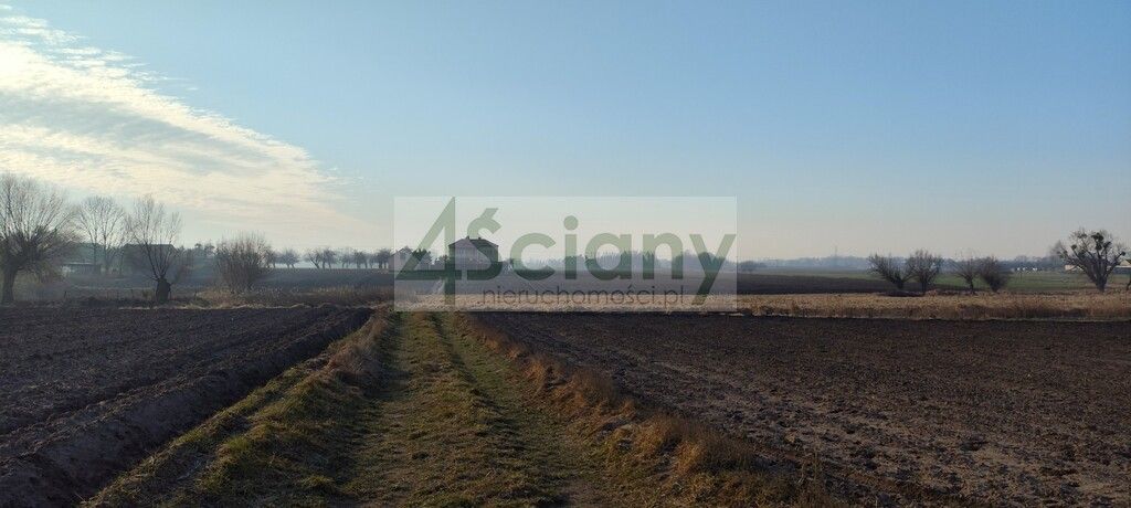 Działka rolno-budowlana Cholewy. Zdjęcie 5