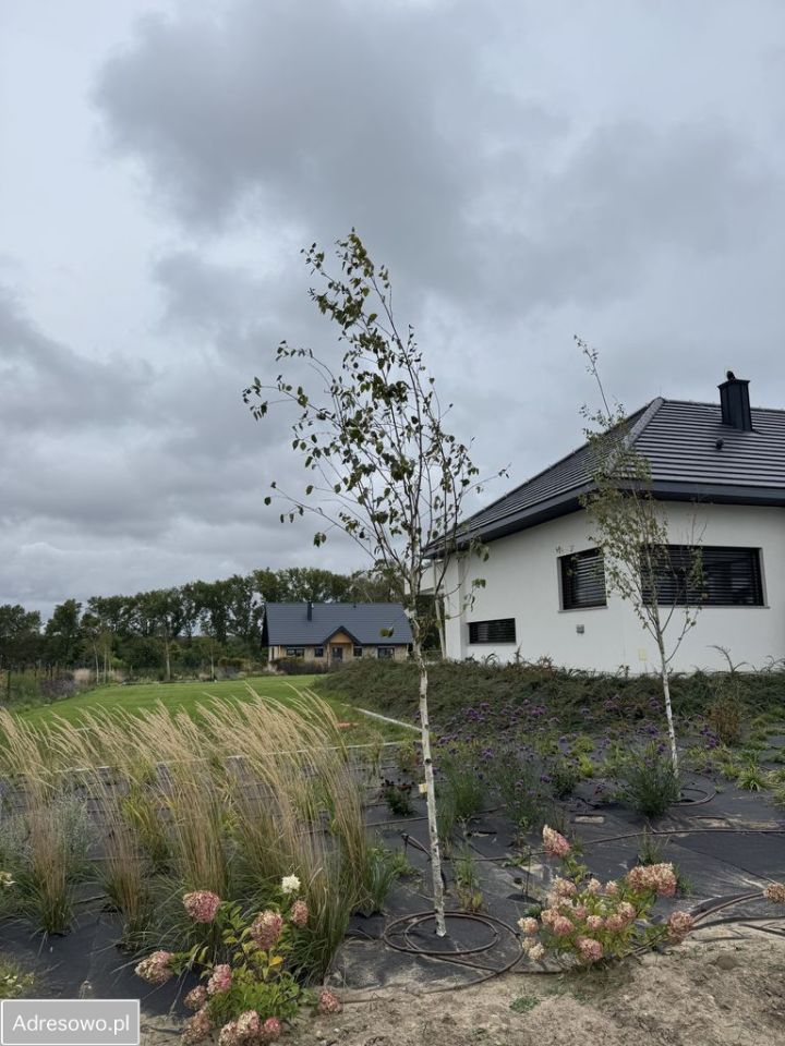 dom wolnostojący, 5 pokoi Krzeczyn Mały