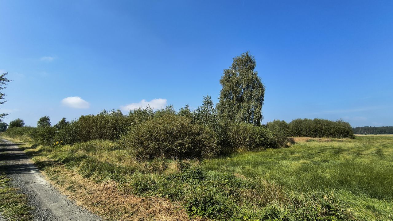 Działka budowlana Przybymierz, ul. Leśna. Zdjęcie 4