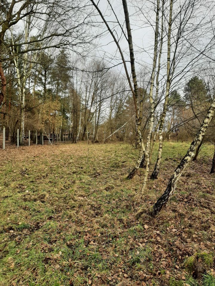 Działka budowlana Bargłówka, ul. Raciborska. Zdjęcie 7
