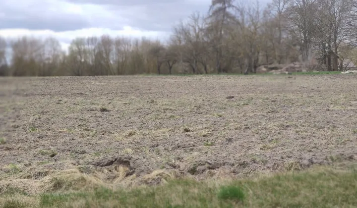 Działka budowlana Wytyczno