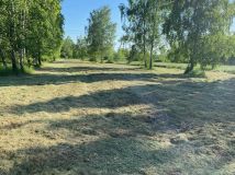 Działka inwestycyjna Rączna. Zdjęcie 1