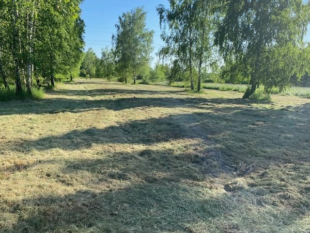 Działka inwestycyjna Rączna. Zdjęcie 2