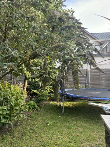 dom wolnostojący, 5 pokoi Rypin, ul. 3 Maja. Zdjęcie 36