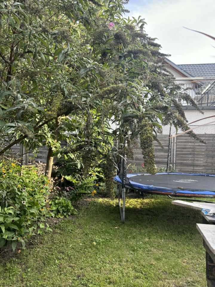 dom wolnostojący, 5 pokoi Rypin, ul. 3 Maja. Zdjęcie 36