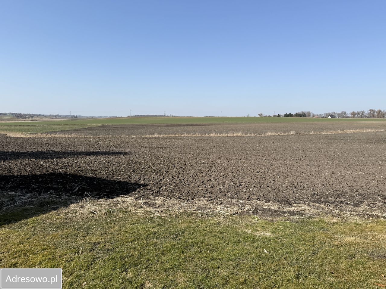 Działka siedliskowa Mojsławice. Zdjęcie 2