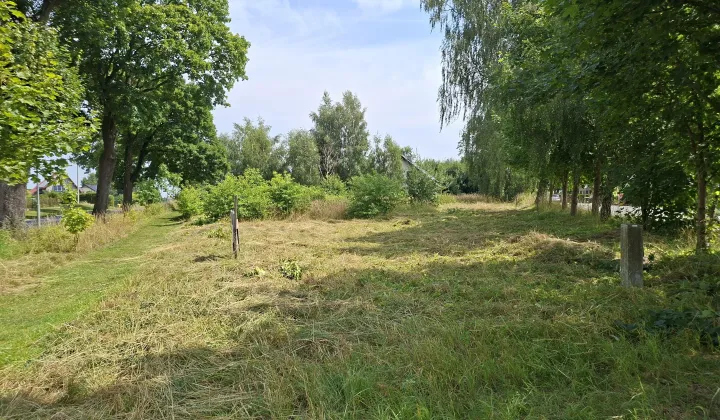 Działka budowlana Siemyśl, ul. Topolowa