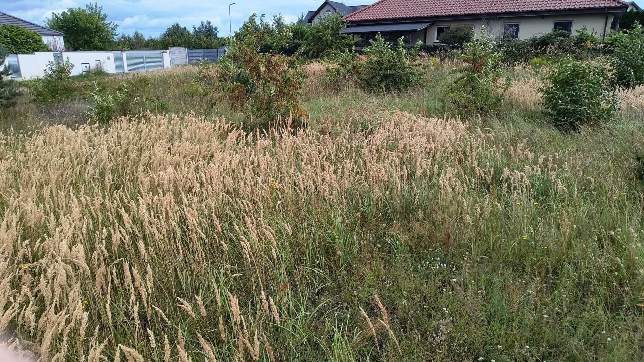 Działka budowlana Kaźmierz, ul. Rydzowa. Zdjęcie 3