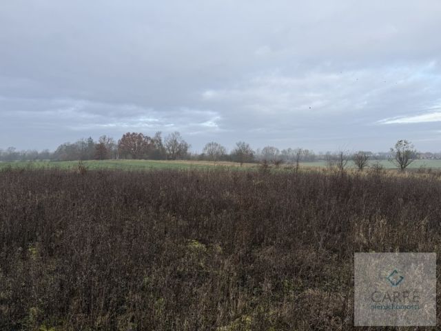 Działka Warzymice. Zdjęcie 4