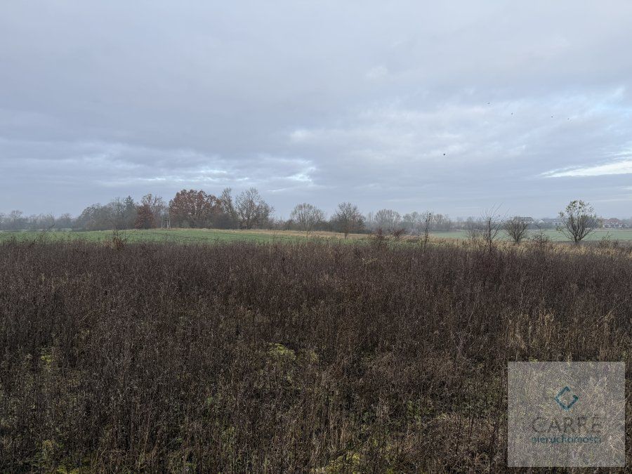 Działka Warzymice. Zdjęcie 4