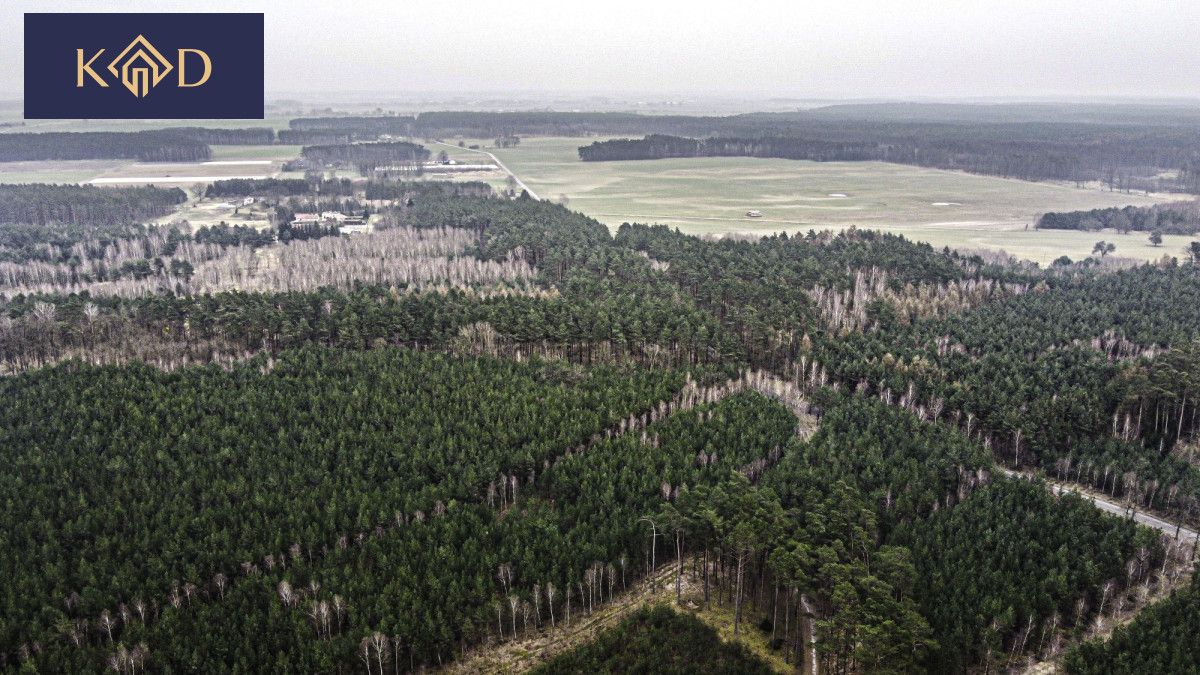Działka inwestycyjna Dąbrowa Nowa. Zdjęcie 17
