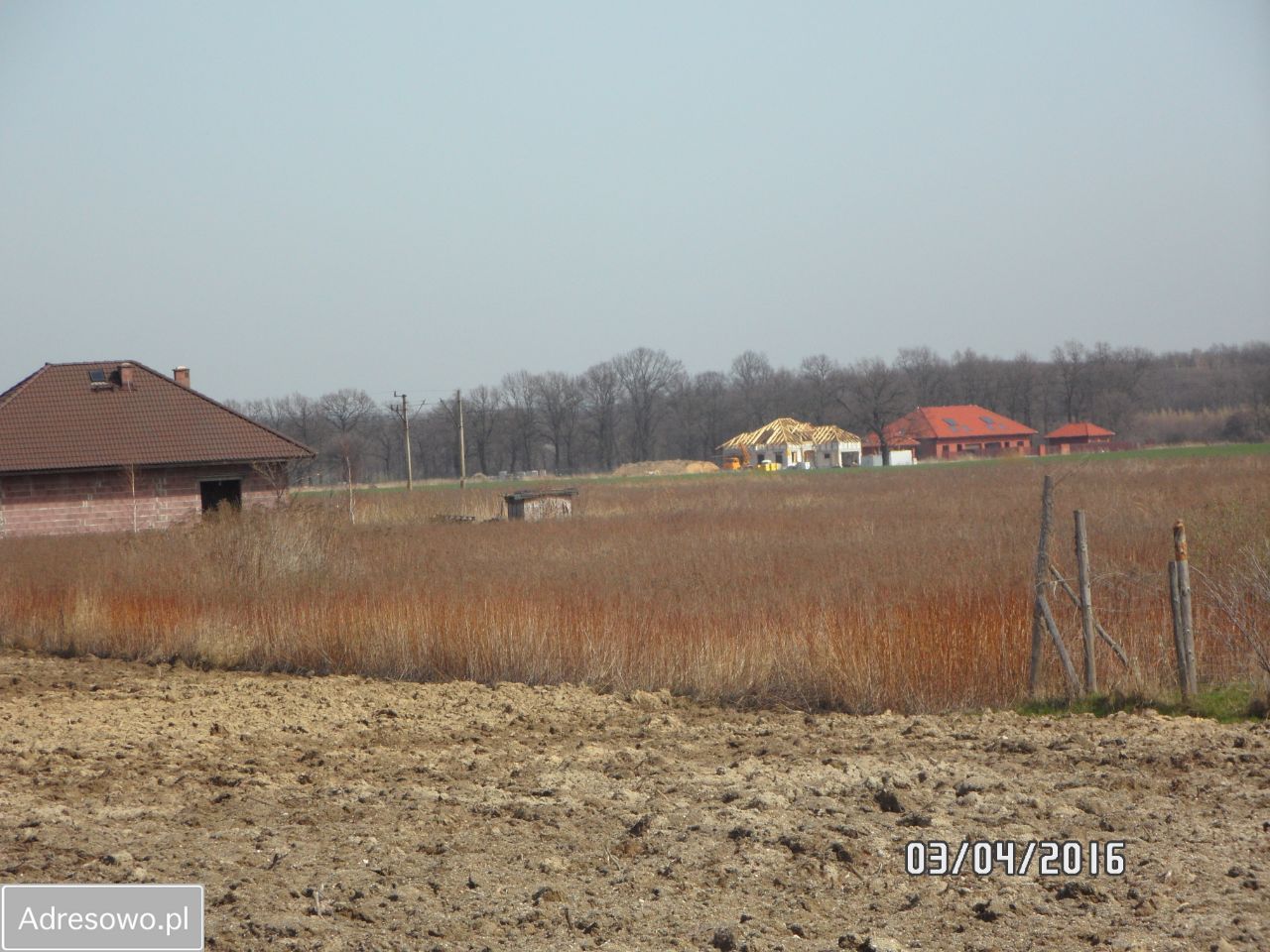 Działka budowlana Wilkszyn, ul. Orla. Zdjęcie 2