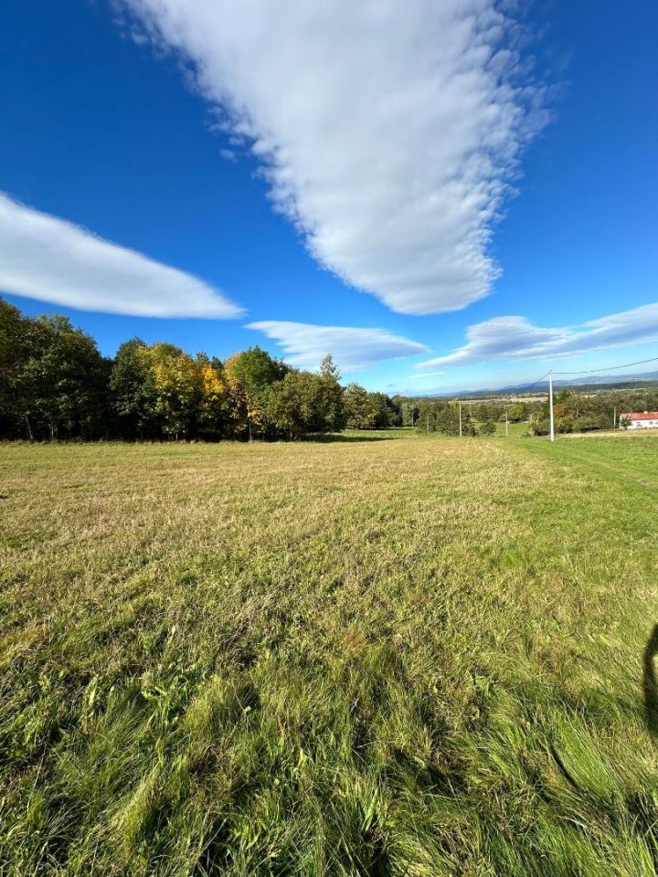 Działka rolno-budowlana Szczawina. Zdjęcie 7