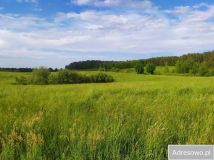 Działka budowlana Krzywe. Zdjęcie 1