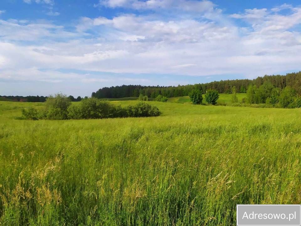 Działka budowlana Krzywe. Zdjęcie 2