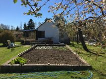 Działka rod Koszalin, ul. Holenderska. Zdjęcie 2