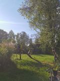 Działka rod Sosnowiec, ul. Portowa. Zdjęcie 1
