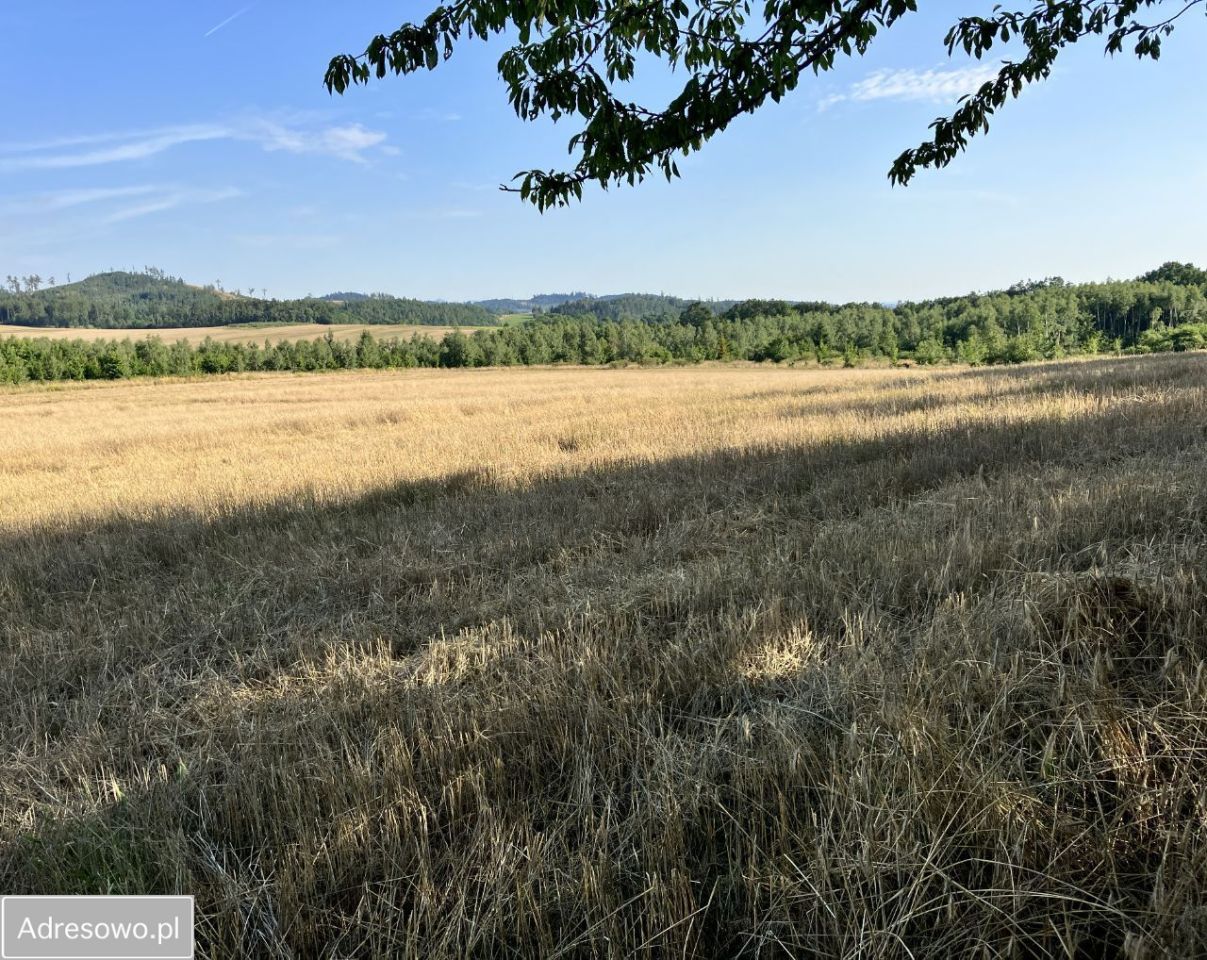 Działka budowlana Dębowina. Zdjęcie 7