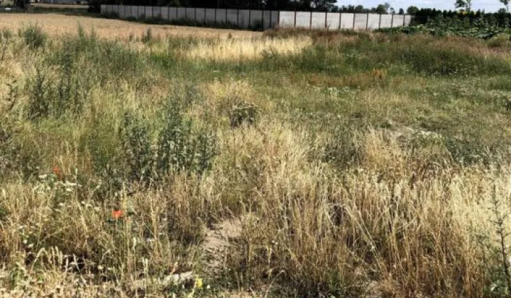 Działka budowlana Sędzinko, ul. Sokólskich