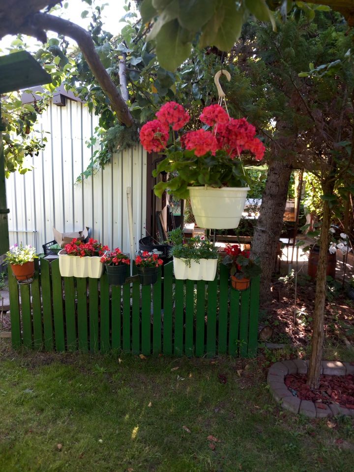 Działka rod Sochaczew Chodaków, ul. Topolowa