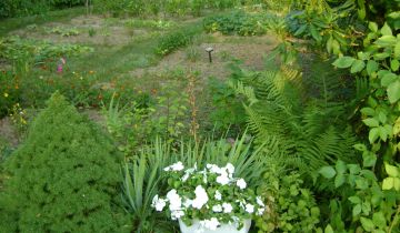 Działka rod Lublin Szerokie, ul. Nałęczowska