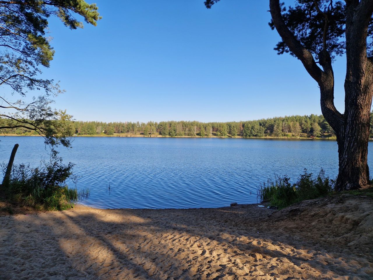 dom wolnostojący, 3 pokoje Bartosze, ul. Polna. Zdjęcie 17