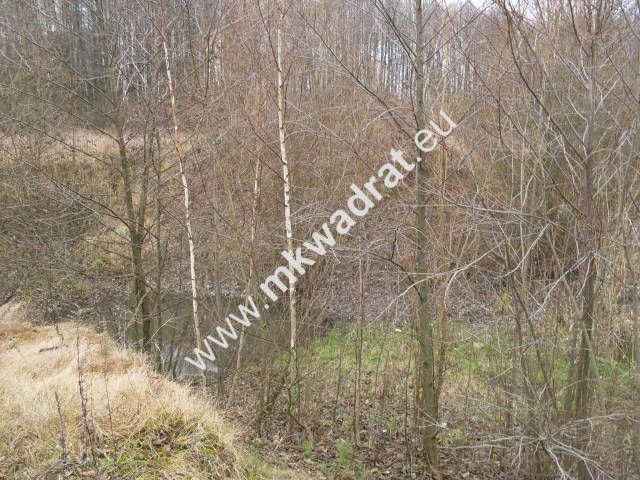 Działka rolna Korabiewice. Zdjęcie 5