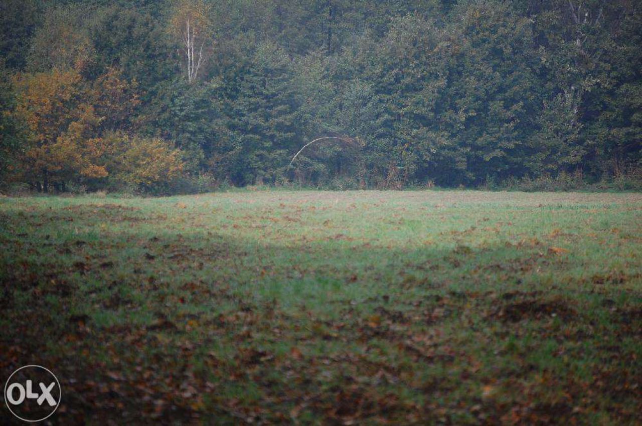 Działka budowlana Pszczyna Stara Wieś, ul. Łowiecka. Zdjęcie 6