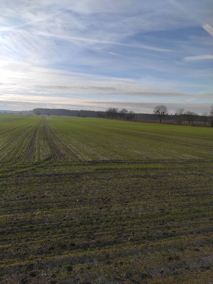 Działka inwestycyjna Porażyn. Zdjęcie 3