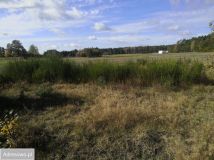 Działka budowlana Puszcza Rządowa. Zdjęcie 4