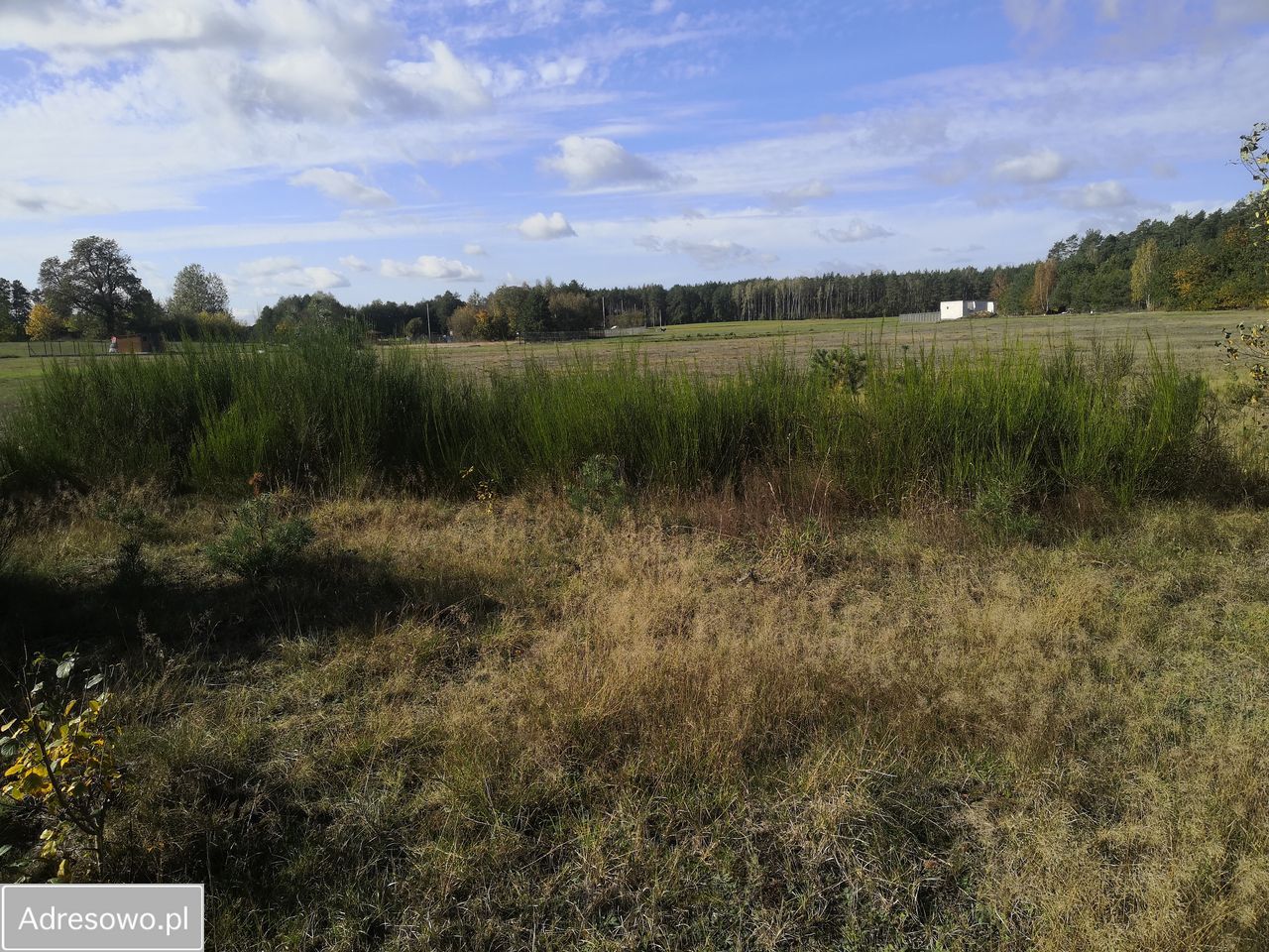Działka budowlana Puszcza Rządowa. Zdjęcie 5
