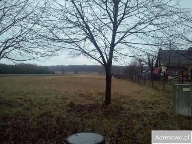 Działka rolno-budowlana Kossów. Zdjęcie 1