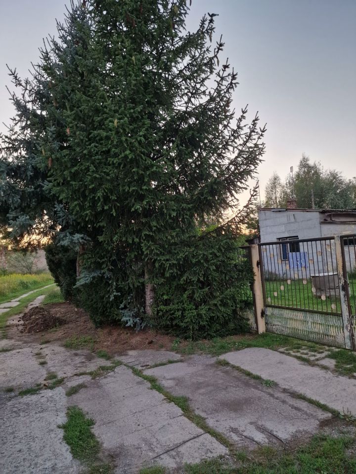 siedlisko Bielawa. Zdjęcie 7