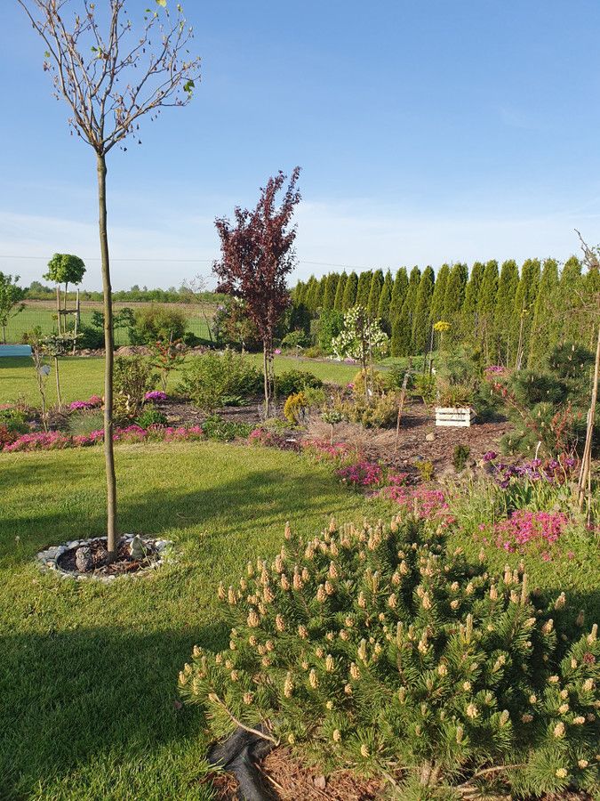 dom wolnostojący, 5 pokoi Walendów. Zdjęcie 5