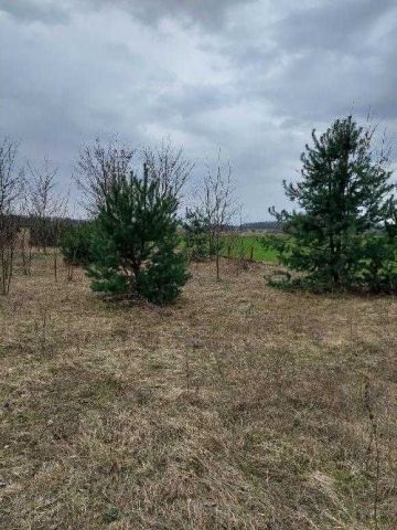 Działka inwestycyjna Brzyków. Zdjęcie 1