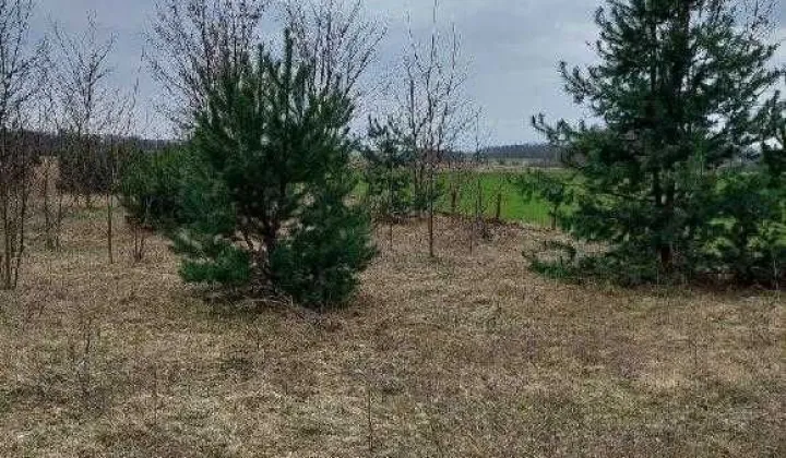 Działka inwestycyjna Brzyków