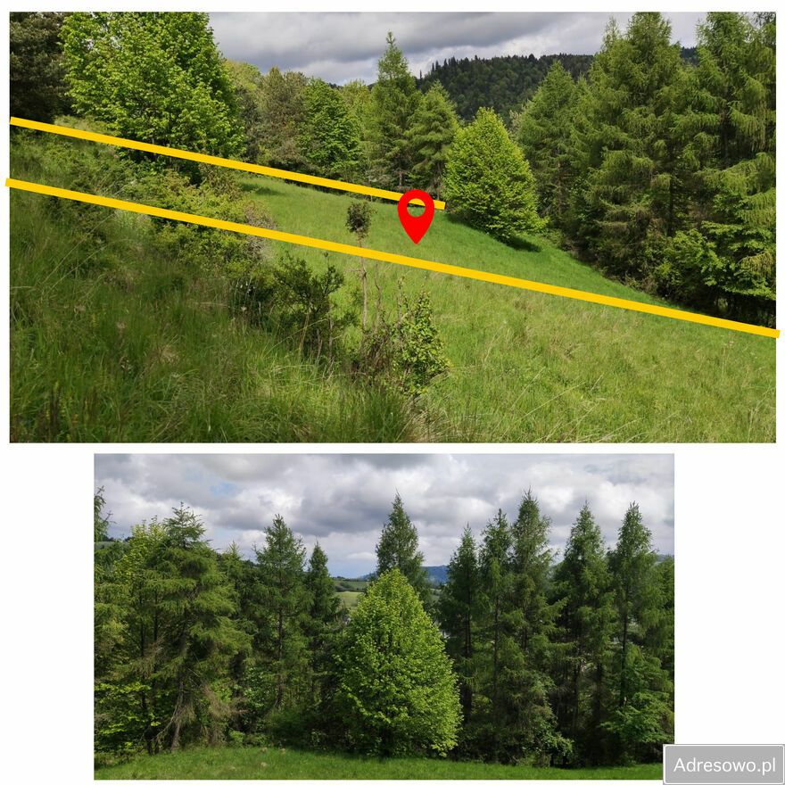 Działka rolna Szlachtowa. Zdjęcie 4