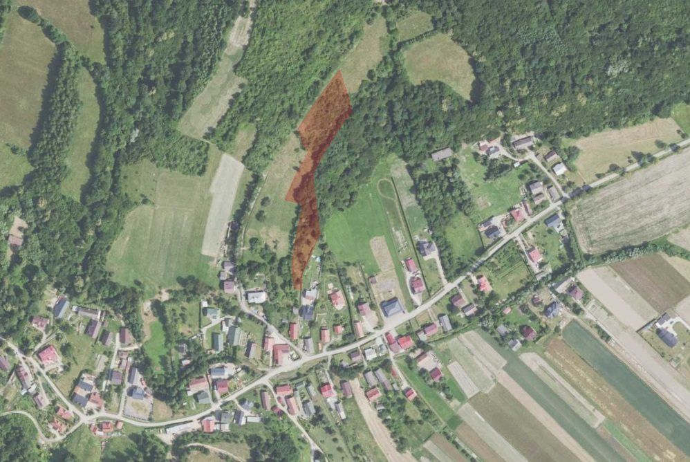 Działka rolna Dębna. Zdjęcie 8